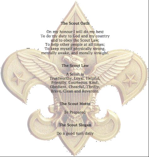 Boy Scout Oath, Scout Quotes, Scout Oath, Scout Law, Cub Scouts Bear, Arrow Of Lights, Church Inspiration, Belief In God, Youth Activities