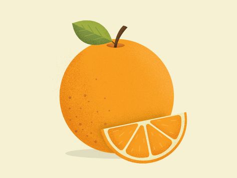 Orange Slice Illustration, Cute Orange Drawing, Orange Fruit Drawing, Orange Fruit Illustration, Orange Drawing, Fruit Platter Ideas Party, Nutcrackers Display, Orange Illustration, Kids Fruit