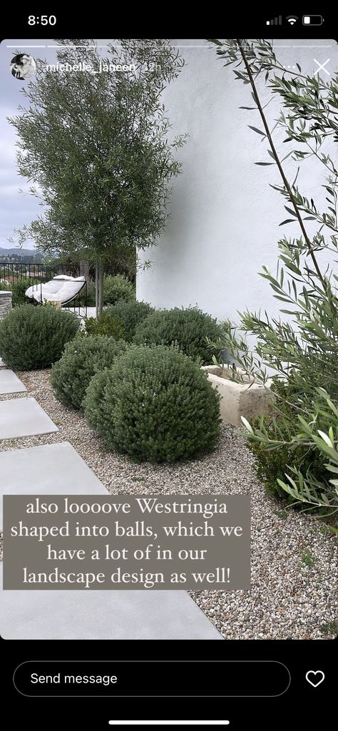 Medditeranean Landscape Front Yards, Duplex Landscaping Front Yards, Plants Next To House, Desertscape Front Yard, Rock Landscaping Ideas Around House, Front Door Garden Ideas, Landscape Around House, Large Garden Landscaping, Minimal Landscape Design