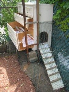 There is no limit to what you can turn a ReStore dresser into ... Urban Chicken Coop, Coop Accessories, Coop Door, Automatic Chicken Coop Door, Urban Chickens, Coop Plans, Chicken Coop Plans, Backyard Chicken Coops, Chicken Diy