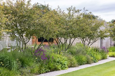 Modern country garden, Cambridgeshire | Colm Joseph Gardens - Garden Designer Cambridge, Suffolk, Norfolk, Essex, Hertfordshire, London Modern Country Garden, Contemporary Outdoor Living, Concrete Path, Modern Courtyard, Planting Design, Concrete Steps, Garden Designer, Garden Architecture, Family Garden