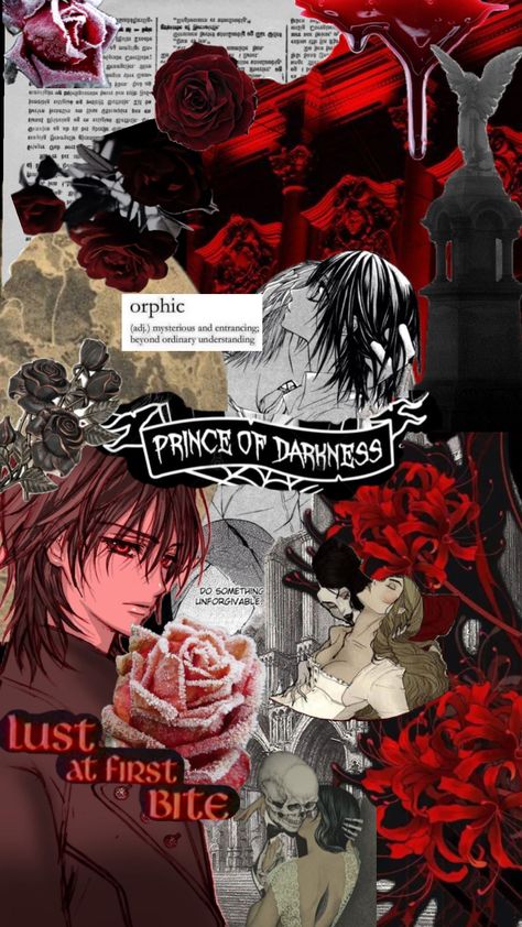 #vampireknight #vampire #spookyvibes #anime Yuki And Kaname, Vampire Knight, Album Design, Create Collage, Japanese Anime, Your Aesthetic, Connect With People, Creative Energy, Aesthetic Anime