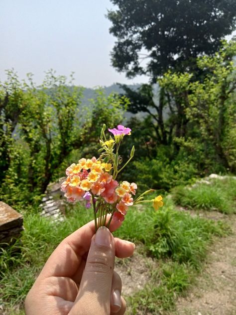 Flowers aesthetic Hand Holding Flower, Flower Aesthetics, Hands Holding Flowers, Woman Hand, Love Couple Photo, Crochet Doll Clothes, Couple Photo, Hand Holding, Photo Idea