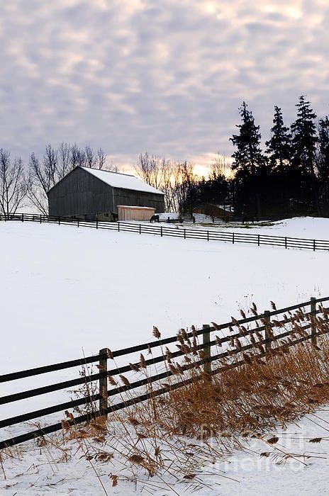 Canadian - Irish roots 🍀 Snowy Field, Winter Szenen, Winter Scenery, Winter Beauty, Wallpaper Collection, Snow Scenes, Old Barns, Winter Wonder, Landscape Projects