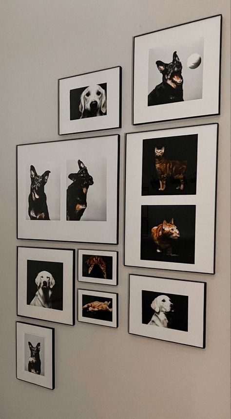 Pet Room Decor Ideas, Dog Portrait Wall Decor, Dog Frames Ideas Wall Art, Large Wall Art Living Room Minimalist, Dog Photo Gallery Wall, Dog Photo Collage Ideas, Pet Portrait Gallery Wall, Dog Photo Frame Ideas, Pet Collage Wall