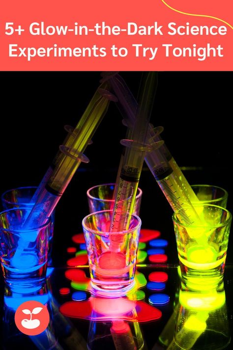 Glow-in-the-Dark Science Experiments Glow In The Dark Stem Activities, Glow Activities, Dark Science, Kids Science Experiments, Scuba Vbs, Grandma Camp, Light Science, Science Experiments For Kids, Experiments Kids