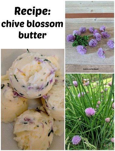 Chive Flower Butter, Chive Flower Uses, Chive Recipes Simple, Chive Flowers Recipe, Chive Flowers, Homegrown Herbs, Herbed Butter, Flavored Butter Recipes, Flavored Butters