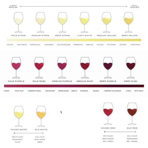 Ever wondered what the color of your wine really means? 🍷 See the meaning behind every shade - both red and white! From the crisp clarity of Sauvignon Blanc to the velvety depth of Merlot, discover what the shades determine your favorite wines. Lighter hues often signify a lighter-bodied wine, while robust shades like Chardonnay and Petit Syrah hint at a fuller experience.   Share with us: what kind of wine do you most prefer? 🍷🥂 Concept Stores, Chenin Blanc, Dull Colors, Pinot Grigio, Zinfandel, Wine Festival, Riesling, Medium Purple, Sauvignon Blanc