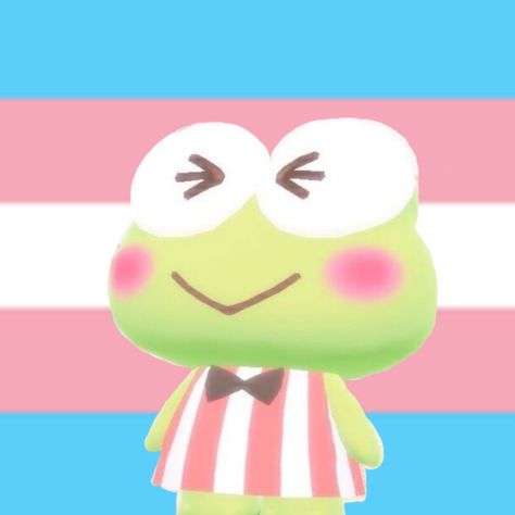 Bingo Pfp, Hidden Trans Pfp, Trans Bingo, Trans Pfp Boy, Pfp Trans, Trans Frog Pfp, Trans Pride Icons, Pride Icons, Aesthetic Icon