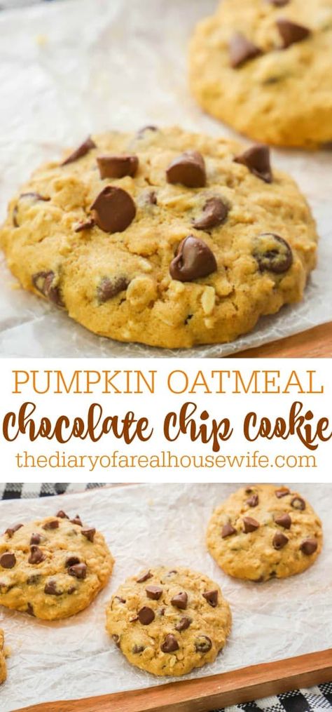 Pumpkin Oat Cookies, Oatmeal Chocolate Cookies, Pumpkin Oatmeal Chocolate Chip, Pumpkin Oatmeal Chocolate Chip Cookies, Oatmeal Chocolate Chip Cookie, Pumpkin Chip, Pumpkin Oatmeal Cookies, Pumpkin Cookie Recipe, Pumpkin Chocolate Chip Cookies