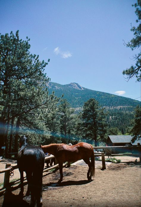 #horseriding #nature #colorado #horses #summer #nature Cu Boulder, Estes Park Colorado, Summer Nature, Estes Park, Bouldering, Colorado, Horses, Natural Landmarks, Animals