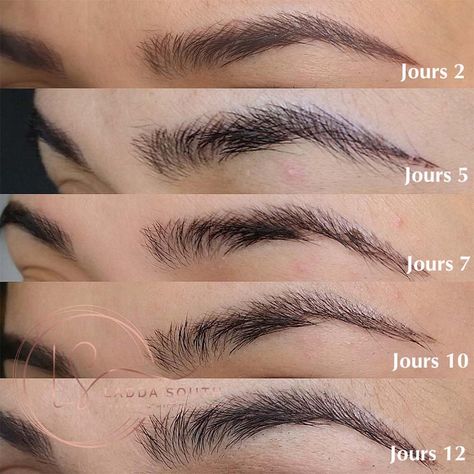 Tattooed Eyebrows After a Week: What to Expect? Tattoo Eyebrows Before And After, Eyebrow Tattoo Ideas, Tattooed Eyebrows, Microblading Healing Process, Eyebrow Before And After, Tattoo Eyebrows, The Healing Process, Green Soap, Healing Ointment