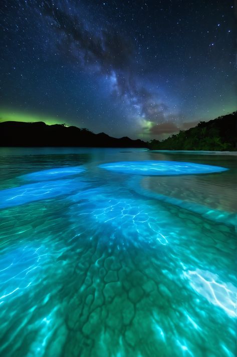 Jamaica's Luminous Lagoon: where microorganisms create a liquid aurora. See the cool blue radiance paint patterns of light with every ripple. #LuminousLagoon #Bioluminescence #Jamaica Ocean Bioluminescence, Luminous Lagoon Jamaica, Bioluminescent Ocean, Bioluminescence Beach, Bioluminescent Bay, Starlit Sky, Wonders Of Nature, Caribbean Travel, Beach Aesthetic