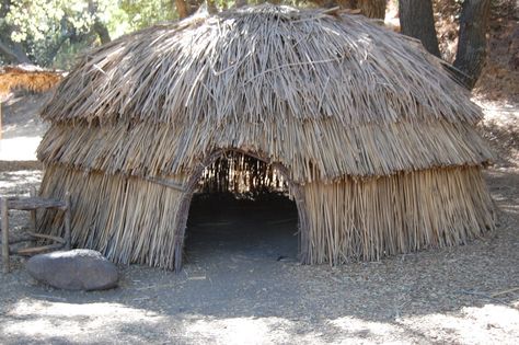 chumash images | We got to view recreations of Aps (Chumash housing). California Native Americans, California History Projects, Chumash Indians, Indian Project, California Places To Visit, Native American Projects, Native Americans Unit, Native American Indian Tribes, Native American Home