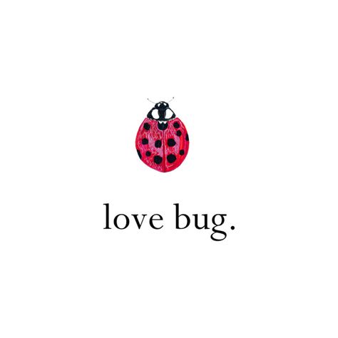 love bug Alpha Sig Words Love, A Ladybug, Love Bug, Happy Words, Love Bugs, Pics Art, A Train, Pretty Words, Artsy Fartsy