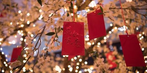 red cards with messages on the traditional Japanese wishing tree Lunar New Year Rituals, New Year Rituals, Wishing Tree Wedding, Chinese Money Tree, Simple Rituals, Potted Mums, Red Cards, Lighted Branches, Mums Flowers