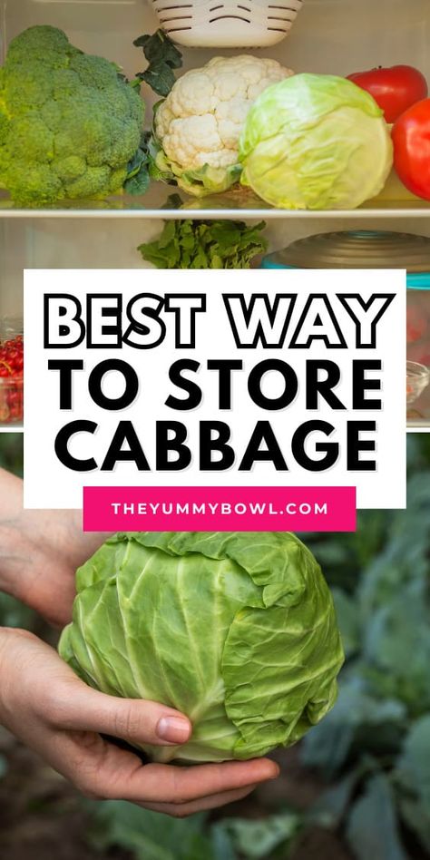 Storing Cabbage For Winter, Storing Cabbage In Fridge, How To Keep Cabbage Fresh Longer, How To Store Cabbage Long Term, How To Preserve Fresh Cabbage, How To Preserve Cabbage, How To Store Cabbage In Refrigerator, Storing Cabbage, How To Store Cabbage