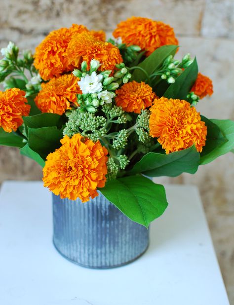 Marigolds- kitschy, or cute? Marigold Table Centrepiece, Marigold Flower Wedding Decoration, Marigold Wedding Centerpieces, Marigold Flower Centerpiece, Orange Marigold Wedding Decor, Marigold Table Decor, Indian Flower Arrangements, Diwali Flower Arrangements, Marigold Floral Arrangement