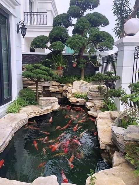 Koi Pond Inside House, Japanese Garden With Koi Pond, Aesthetic Koi Pond, Japanese Garden Backyard, Formal Koi Pond, Backyard Stream, Garden Stream, Koi Pond Design, Japanese Tea House Koi Pond