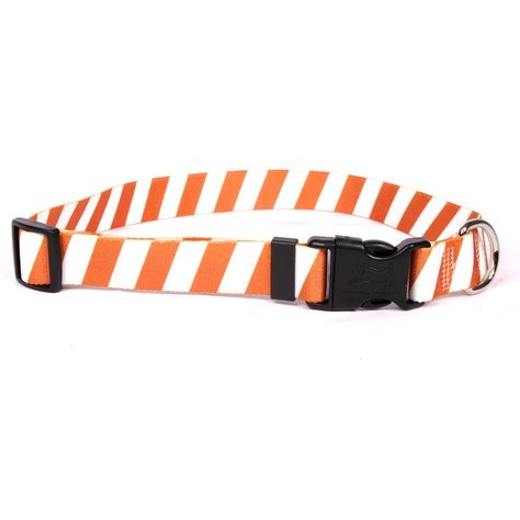 Yellow Dog Design Team Spirit Orange and White Dog Collar ** Learn more by visiting the image link. (This is an affiliate link and I receive a commission for the sales) #MyPet White Dog Collar, Cat Training Pads, Yellow Dog, Cat Dander, Cat Odor, Cat Shedding, Cat Food Storage, Cat Id Tags, Cat Fleas