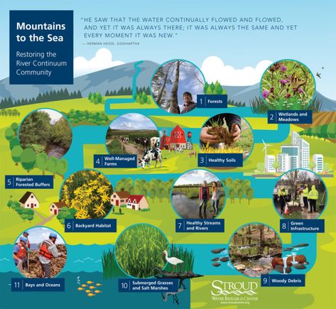 Restoring the River Continuum Community Earth's Spheres, River Of Life, Green Infrastructure, River Life, Feed Ig, Water Solutions, Life Poster, Soil Health, Sea Water