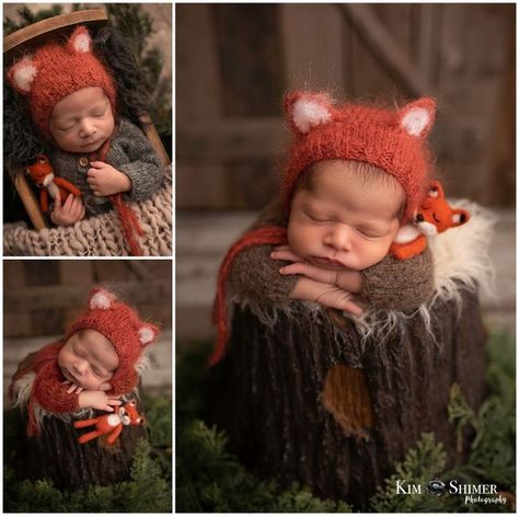 Newborn Photography Theme Ideas, Woodland Theme Newborn Photoshoot, Mushroom Newborn Photography, Woodland Newborn Photography, Animal Photoshoot, Newborn Photography Boy, Woodland Fox, Baby Shoot, Photography Themes