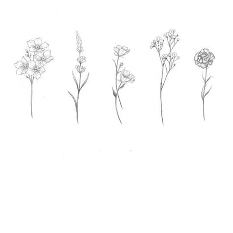 (ALL CLAIMED, thanks to those who reached out! Will be posting these regularly so keep an eye out.) Floral flash  forget me nots - lavender - buttercups - baby's breath - carnation. $200 plus tax each, set sizing between 3-4" long, and preferably placement on arms. Can't wait to tattoo these pretties! Carnation Tattoo, Lavender Tattoo, Wildflower Tattoo, Illustration Tattoo, Small Flower Tattoos, Tattoo Women, Floral Tattoo Design, E Tattoo, 카드 디자인