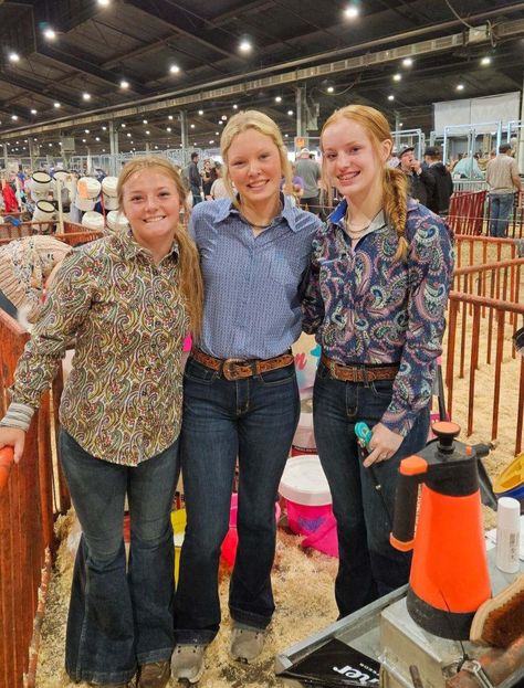 Showing Cattle Outfits, Stock Show Outfits Cattle, Cattle Showing Outfits, Cute Livestock Show Outfits, Livestock Showing Outfits, Pig Show Outfits, Show Outfits Livestock, Livestock Outfits, Livestock Judging Outfits