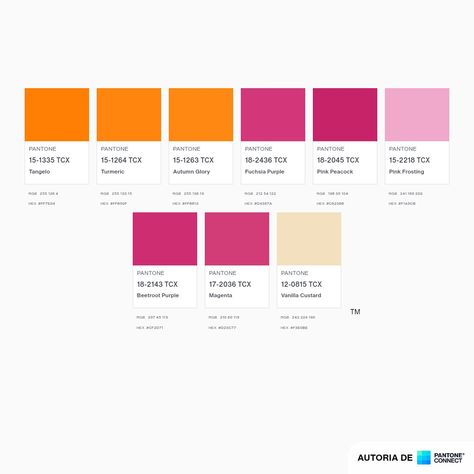 Orange Pink White Color Palette, Pantone Pink Bright, Pink Red And Orange Aesthetic, Pink And Orange Website Design, Bright Pink Pantone, Pink And Orange Mood Board, Pink And Orange Bathroom, Pink And Orange Color Palette, Orange Color Code