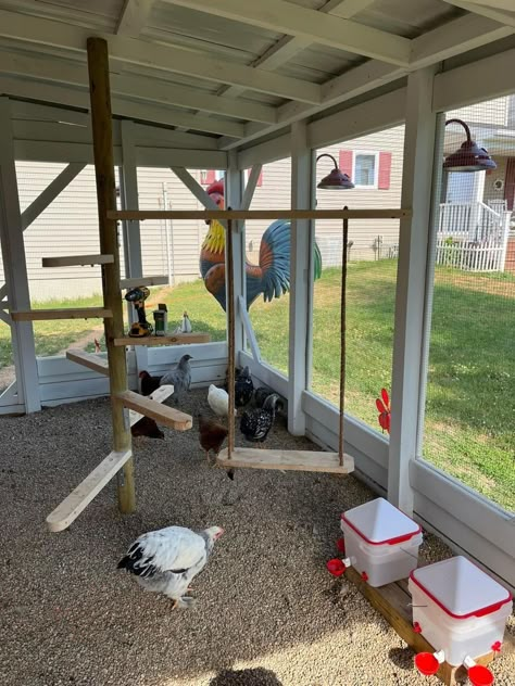 Chicken Gym Ideas, Swingset Chicken Coop Diy, Rustic Chicken Coop Ideas, Chicken Coop Remodel, Chain Link Chicken Coop, Chicken Coop Feeder Ideas, Chicken Coop Ladder, Chicken Perches, Chicken Feeder Diy