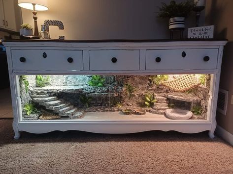 Cool Terrarium, Tartaruga Habitat, Snake Tanks, Diy Bearded Dragon Enclosure, Bearded Dragon Terrarium Ideas, Dragon Terrarium, Pet Enclosures, Bearded Dragon Diy, Bearded Dragon Terrarium