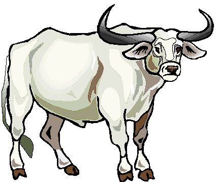 Carabao Drawing, Carabao Clipart, Cows Drawing, Cow Drawing, Drawing Face, Drawing Clipart, The Bull, Drawing Images, Face Drawing