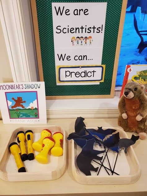 Preschool Center Ideas, Science Provocations, October Preschool Themes, February Classroom Activities, Preschool Technology, Science Center Preschool, Pre-k Science, Science Area, We Are Scientists