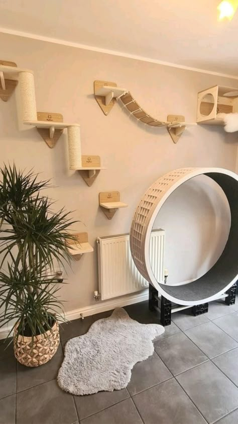 Cat Bridge, Cat Room Ideas, Katt Diy, Cat Room Decor, Katt Grejer, Cat Bedroom, Cat Stairs, Cat Patio, Cat Wall Shelves