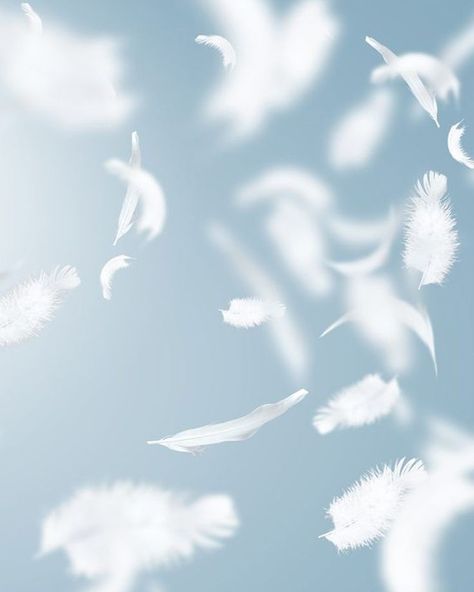 Angel Feather, Paradise Wallpaper, Qhd Wallpaper, Blurred Background Photography, Floral Cards Design, Bird Feather, Divine Timing, Forest Illustration, Iphone Background Images