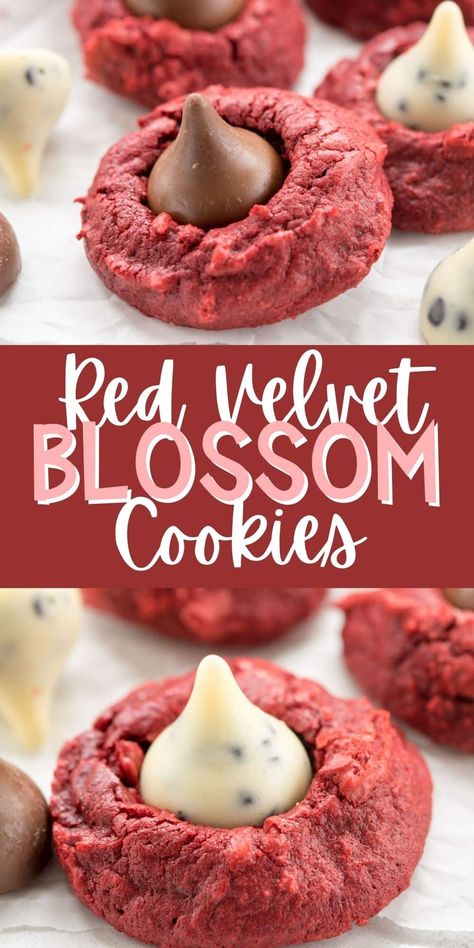 Red Velvet Blossom Cookies, Red Velvet Kiss Cookies, Red Velvet Hershey Kiss Blossoms, Red Velvet Cookies From Cake Mix Easy, Red Velvet Cake Mix Cookies Cream Cheese, Red Velvet Cookies Cake Mix, Easy Red Velvet Cookies, Herseys Chocolate Kiss Cookies, Blossoms Cookies