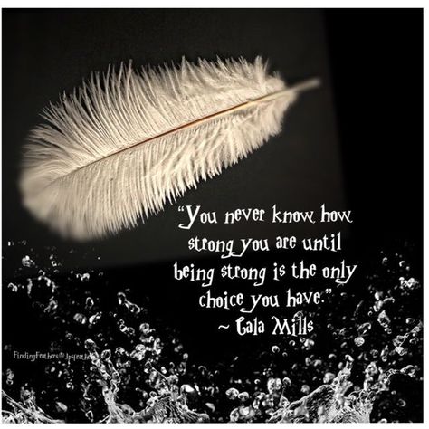 Feather Quote, Feather Quotes, Finding Feathers, Copywriting Inspiration, Native American Quotes, Inspirational Verses, About Quotes, Life Rules, Memories Quotes