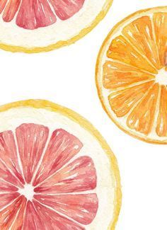 Orange Watercolor, Valencia Orange, Food Illustration Art, Watercolor Food, Watercolor Fruit, Watercolor Paintings Easy, Illustration Food, Orange Fruit, Food Illustration