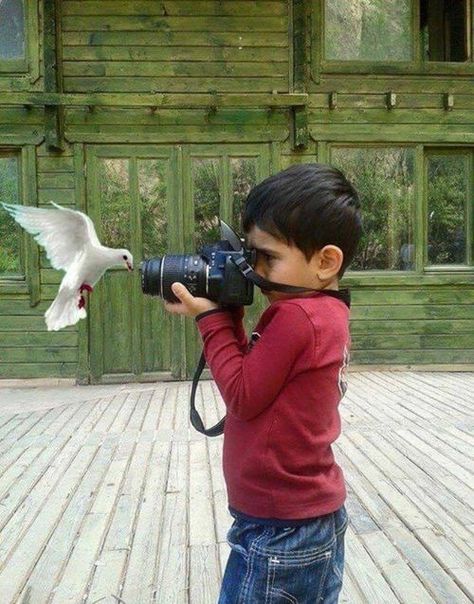 Holding A Camera, Matka Natura, Foto Art, صور مضحكة, 인물 사진, Pablo Picasso, الرسومات اللطيفة, 귀여운 동물, Beautiful Photography