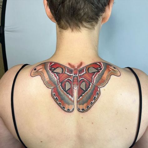 Attacus Atlas Moth Tattoo, Moth On Neck Tattoo, Bug Neck Tattoo, Bug Tattoo Color, Atlas Moth Drawing, Red Moth Tattoo, Silk Moth Tattoo, Moth Tattoo Back, Atlas Moth Tattoo