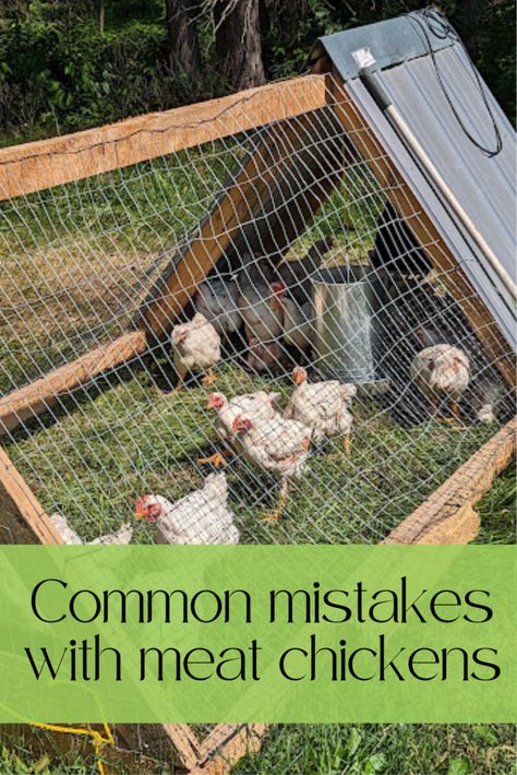 Chicken Tractor For Meat Chickens, Meat Bird Pen, Chicken Tractor Ideas For Meat Birds, Meat Birds Coop, Chicken Tractor Meat Birds, How To Raise Meat Chickens, Meat Birds Raising, Raising Meat Birds, Meat Chicken Tractor Plans