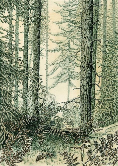 #Sepia #Forest (#pencil, #ink and #wash on paper) by Lynne Henderson #lynnehendersonarts #drawing #landscape #penandink #illustration #trees #woodland ferns #firs #vintage #nature Rendering Drawing, Watercolour Wash, Mossy Tree, Ink And Wash, Fern Forest, Forest Drawing, Gcse Art Sketchbook, Forest Background, February 14th