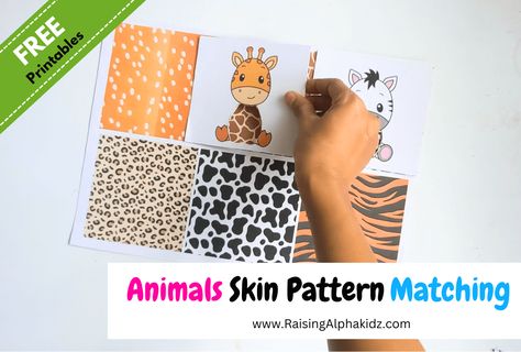 DIY Animal Skin Pattern Matching Cards Animal Skin Pattern, Diy Preschool, Sensory Art, Beautiful Desert, Paper Craft Videos, Desert Garden, Shape Puzzles, Skin Pattern, Educational Printables