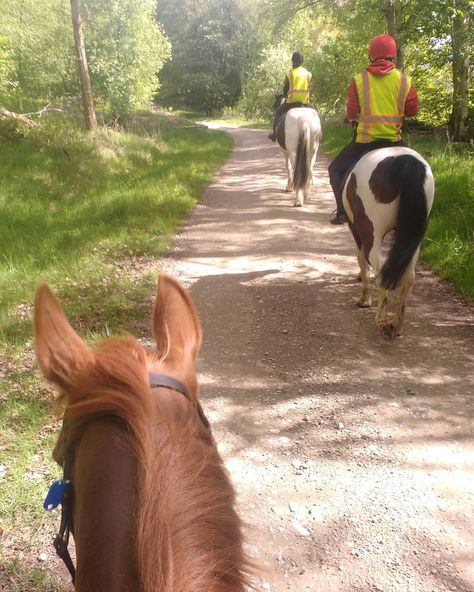 Find out about horse riding in Scotland - including hacks, treks, lessons, FAQs and other information about Scottish holidays on horseback. Horse Hacking, Horse Riding Lessons, Harry Potter London, Scottish Holidays, Future Farms, Scout Camping, Riding Lessons, On Horseback, Short Break