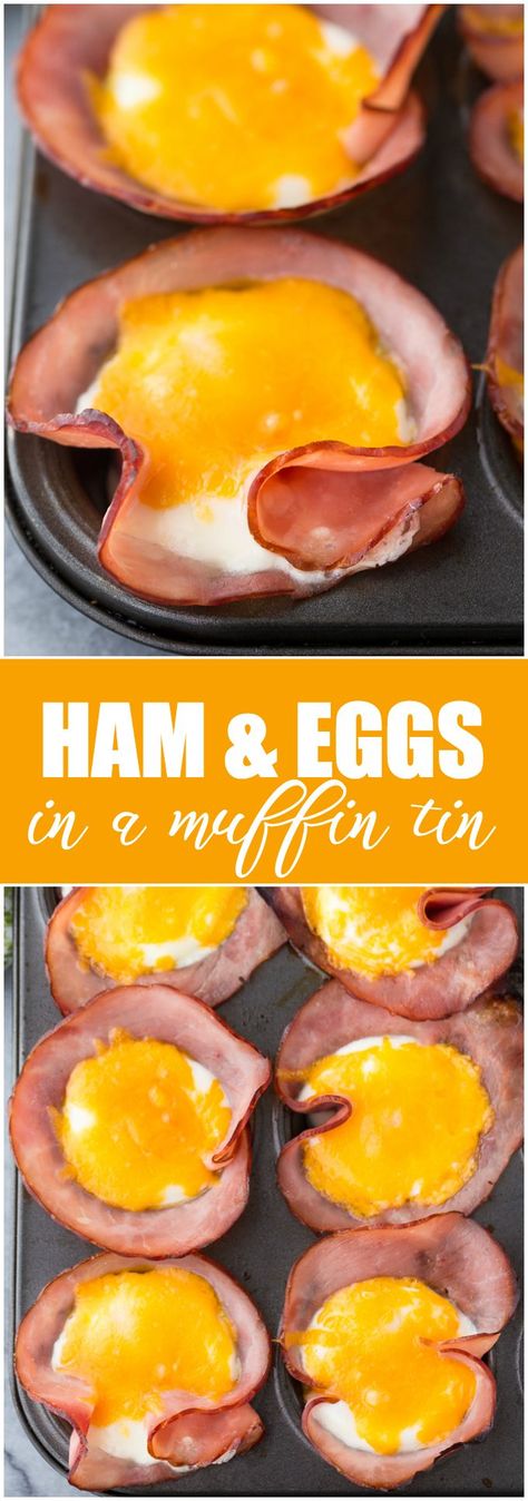 Ham & Eggs in a Muffin Tin - A quick and easy breakfast for a low carb lifestyle! Eggs In A Muffin Tin, Movies Snacks, Eggs In Muffin Tin, Low Carb Lifestyle, Low Carb Easy, Ham And Eggs, Muffin Tin Recipes, Easy Camping Meals, Low Carb Breakfast Recipes