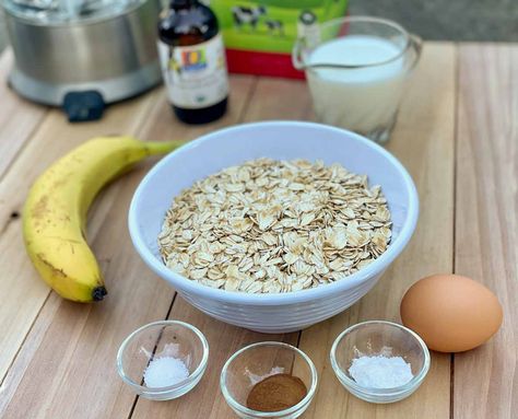 Quick, hearty, and delicious, this blender pancake recipe calls for just a few basic ingredients you probably already have on-hand! #brunch #pancakes #teapairings Fruit Dogs Can Eat, Can Dogs Eat Bananas, Banana Dog Treat Recipe, Brunch Pancakes, Blender Pancakes, Soft Dog Treats, Low Calorie Fruits, Dog Treat Recipe, Homemade Banana Bread