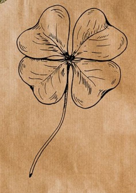 Clover Drawing Simple, Trinket Tattoo, Four Leaf Clover Drawing, 4 Leaf Clover Tattoo, Leaf Clover Tattoo, Cousin Tattoos, Four Leaf Clover Tattoo, Left Arm Tattoos, Earthy Tattoos