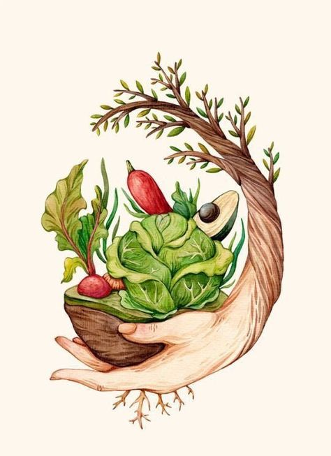 Healthy Food Art, Nutrition Poster, Food Art Painting, Arte Yoga, Vegetable Illustration, Food Illustration Art, Farm Logo, Poster Drawing, Art Et Illustration