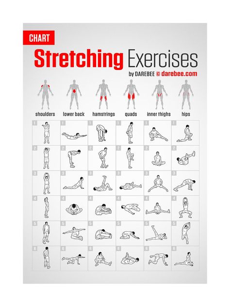 "STRETCHING EXERCISES Study Guide DIGITAL DOWNLOAD PRINTABLE Printable sizes are  8\"x10\" 11\"x17\" 16x20 18\"x24\" CHARTS" Habits Routine, Full Body Stretching Routine, Quad Muscles, Daily Stretches, Morning Stretch, Quad Stretch, Full Body Stretch, Reflexology Chart, Stretch Routine