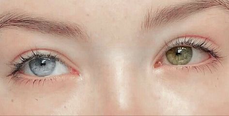 Heterochromia Eyes, Beautiful Eyes Color, Aesthetic Eyes, Pretty Eyes, الرسومات اللطيفة, Cool Eyes, Series Movies, Beautiful Eyes, Face Claims